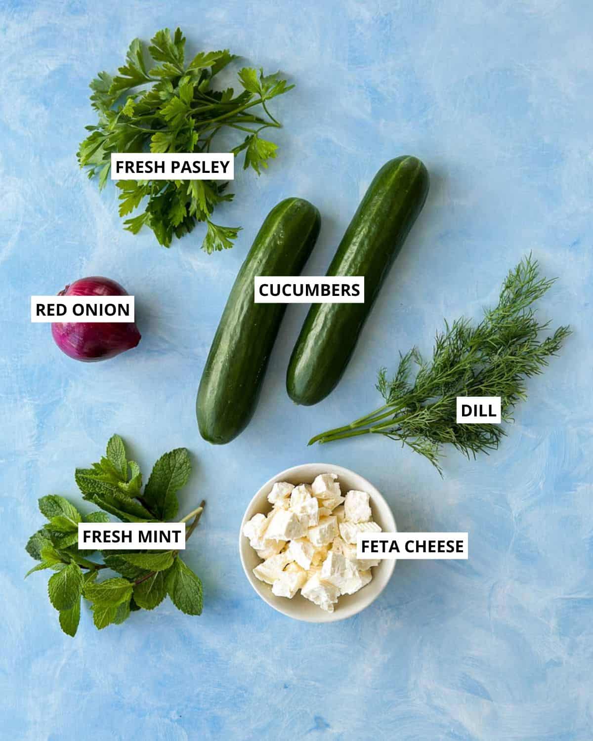 Ingredients for cucumber and feta salad arranged on a blue background including cucumbers, red onion, fresh parsley, fresh mint, dill, and feta cheese.