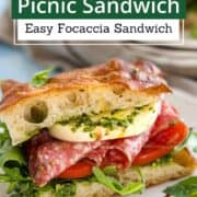 Delicious Italian picnic sandwich with fresh ingredients and focaccia bread.