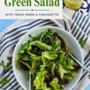 Fresh green salad with herbs and vinaigrette in a white bowl.