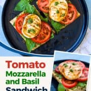 Fresh tomato, mozzarella, and basil sandwich on a black plate for summer lunch.