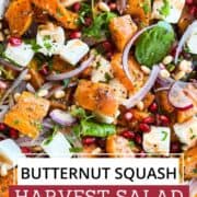 Colorful butternut squash harvest salad with pomegranate seeds and feta cheese.