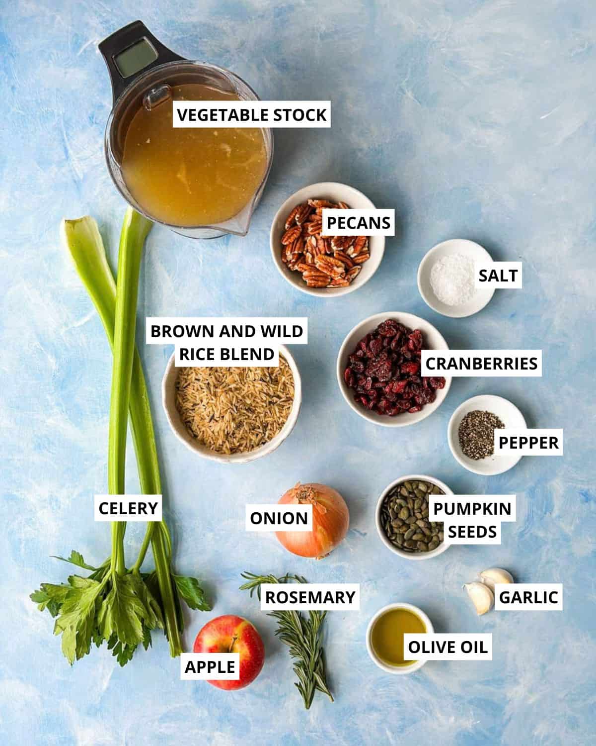 Labeled fall brown rice pilaf ingredients: vegetable stock, pecans, salt, brown and wild rice blend, cranberries, pepper, celery, onion, pumpkin seeds, rosemary, garlic, olive oil, and apple.